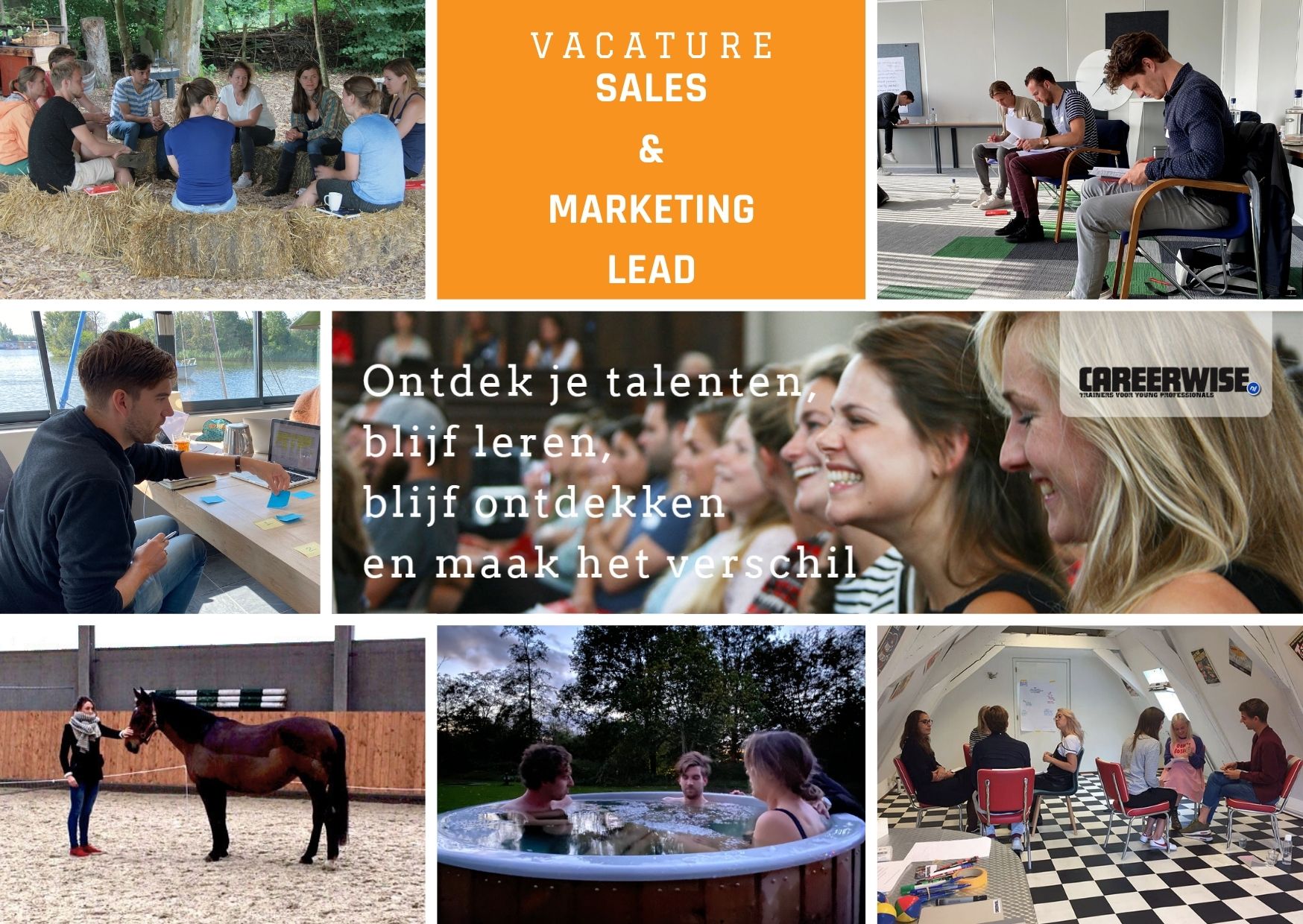 Vacature - Sales en Marketing Lead
